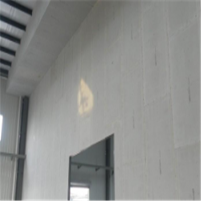 塘沽宁波ALC板|EPS加气板隔墙与混凝土整浇联接的实验研讨